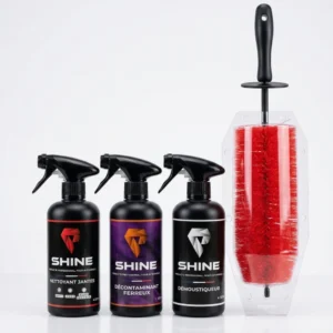 Pack Jantes & Décontamination Pro